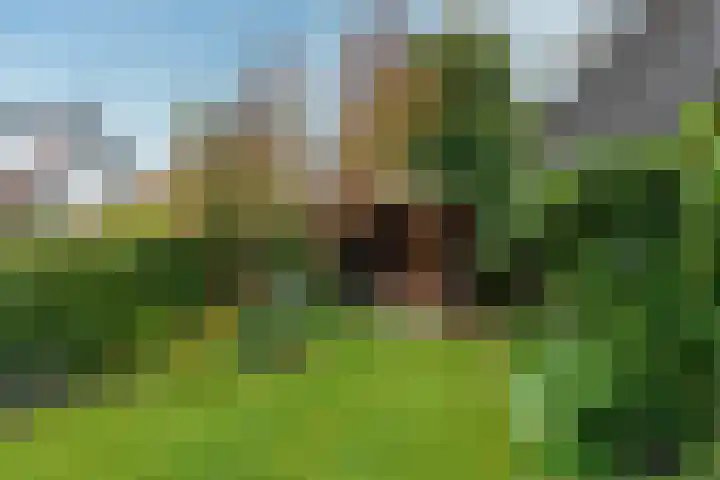 van Oosthuyselaan 65 Driebergen-Rijsenburg thumbnail 30