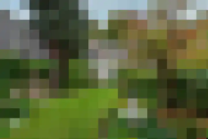 van Oosthuyselaan 65 Driebergen-Rijsenburg thumbnail 32