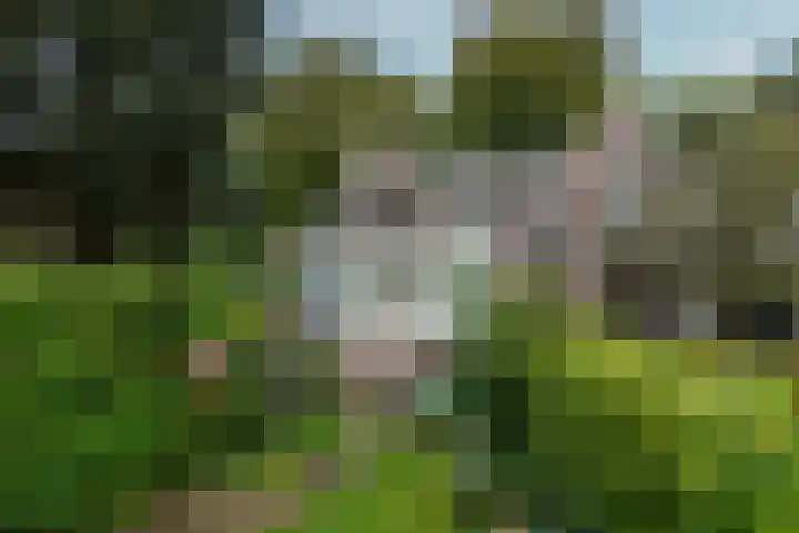 van Oosthuyselaan 65 Driebergen-Rijsenburg thumbnail 33