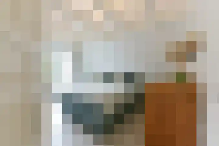 van Oosthuyselaan 65 Driebergen-Rijsenburg thumbnail 37