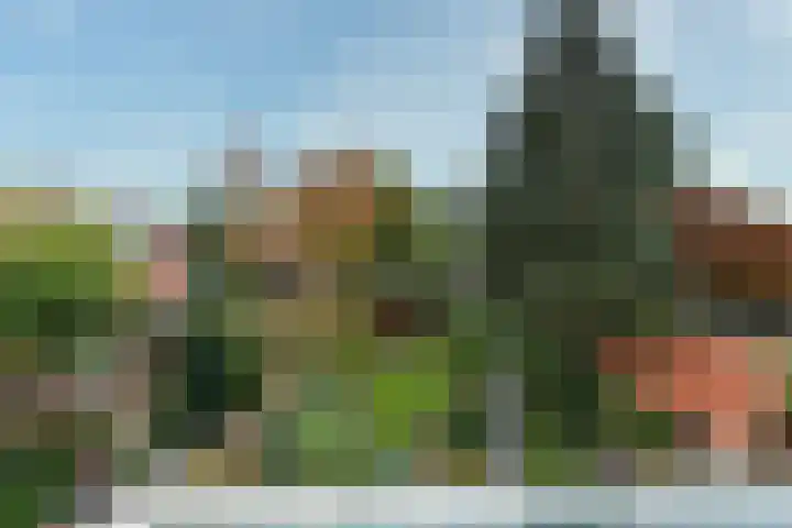 van Oosthuyselaan 65 Driebergen-Rijsenburg thumbnail 43