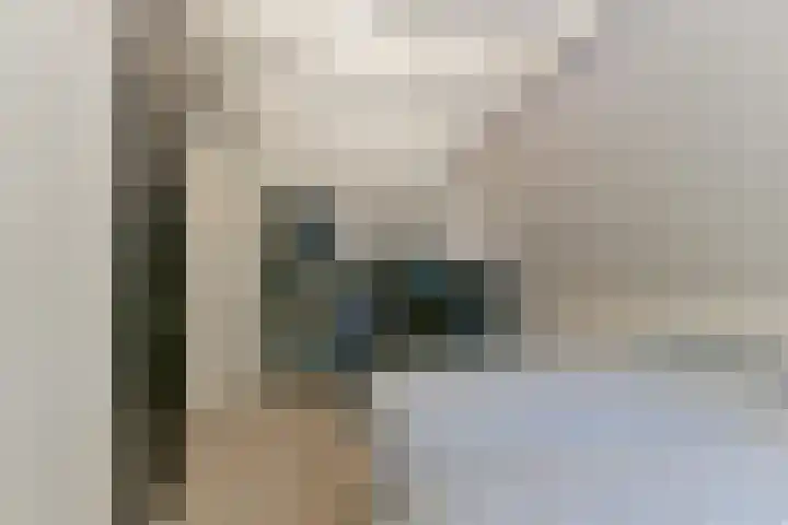 van Oosthuyselaan 65 Driebergen-Rijsenburg thumbnail 46