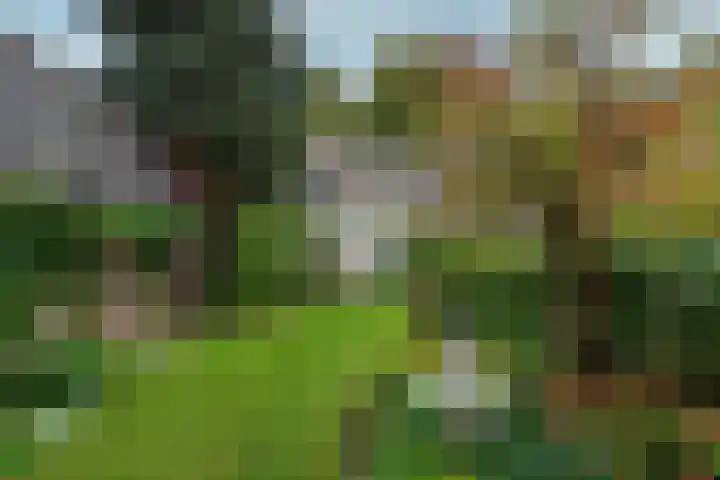 van Oosthuyselaan 65 Driebergen-Rijsenburg thumbnail 5