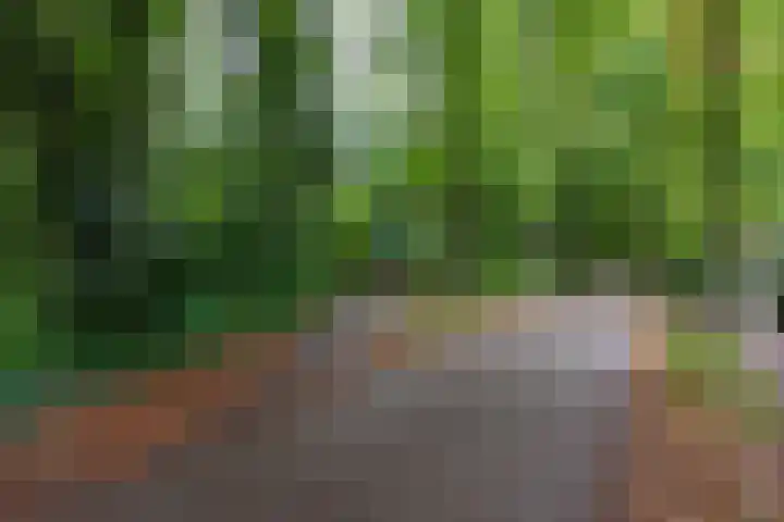 van Oosthuyselaan 65 Driebergen-Rijsenburg thumbnail 51
