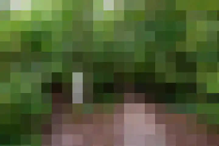 van Oosthuyselaan 65 Driebergen-Rijsenburg thumbnail 52