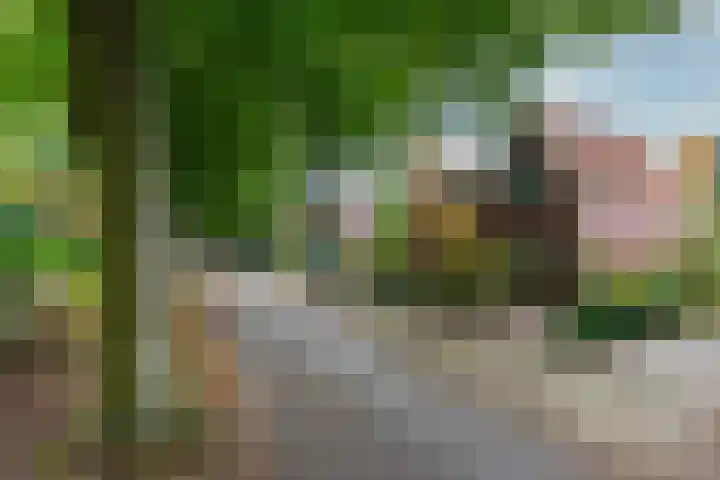 van Oosthuyselaan 65 Driebergen-Rijsenburg thumbnail 9