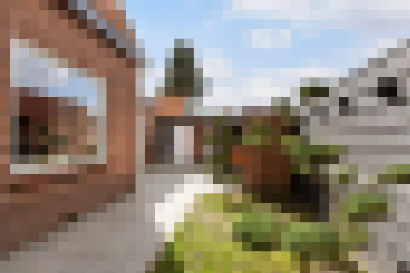 van Oosthuyselaan 69 Driebergen-Rijsenburg thumbnail 20