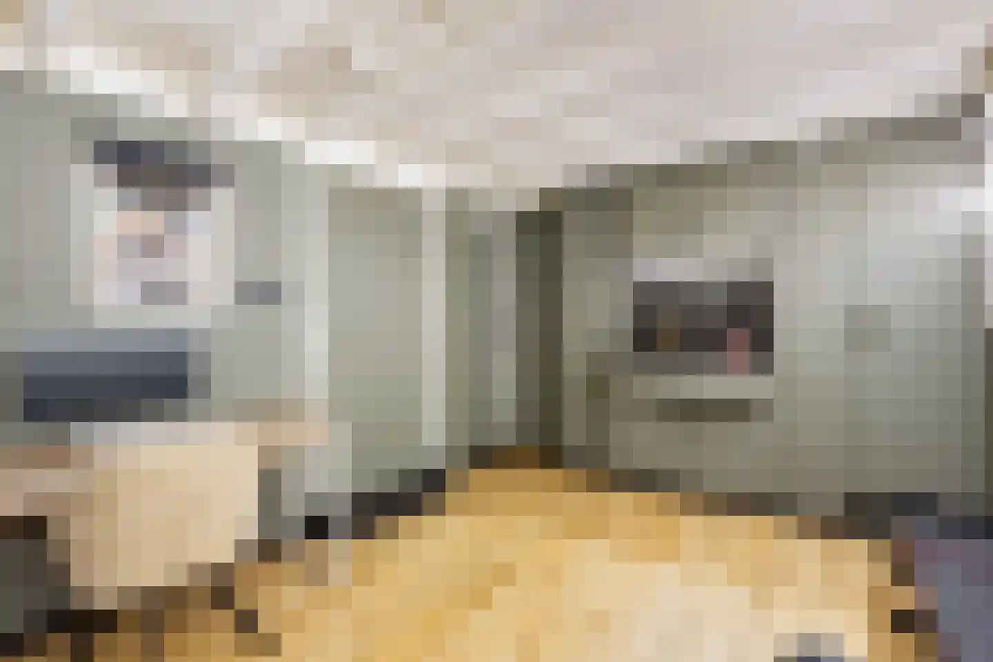 van Oosthuyselaan 69 Driebergen-Rijsenburg thumbnail 28