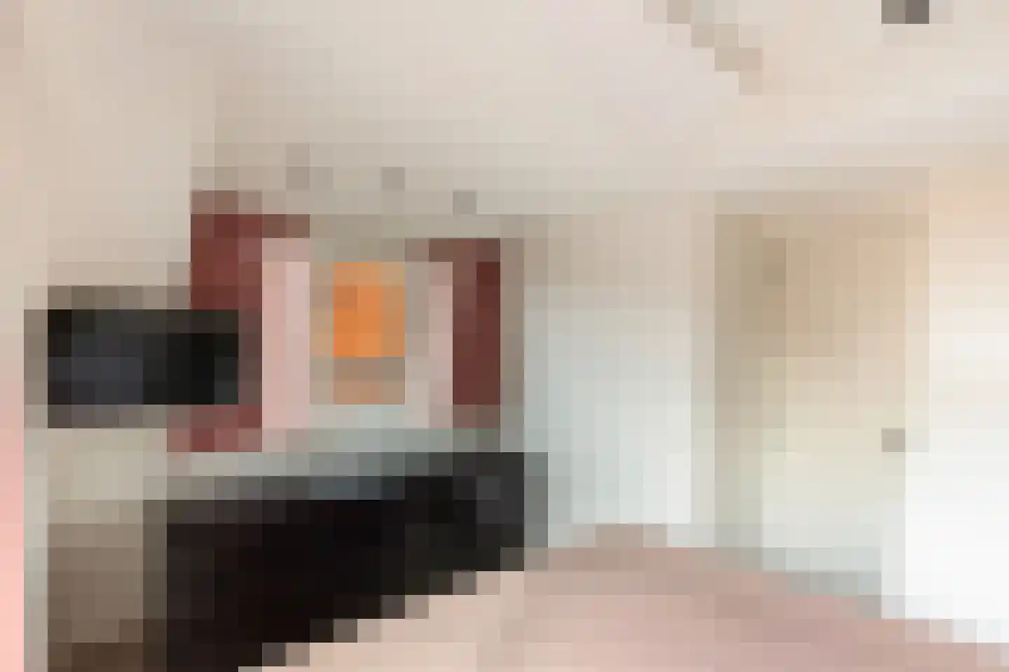 van Oosthuyselaan 69 Driebergen-Rijsenburg thumbnail 31