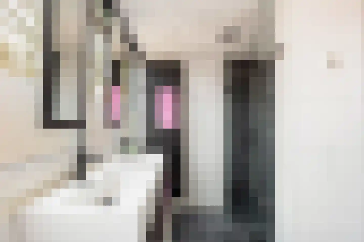 van Oosthuyselaan 69 Driebergen-Rijsenburg thumbnail 36