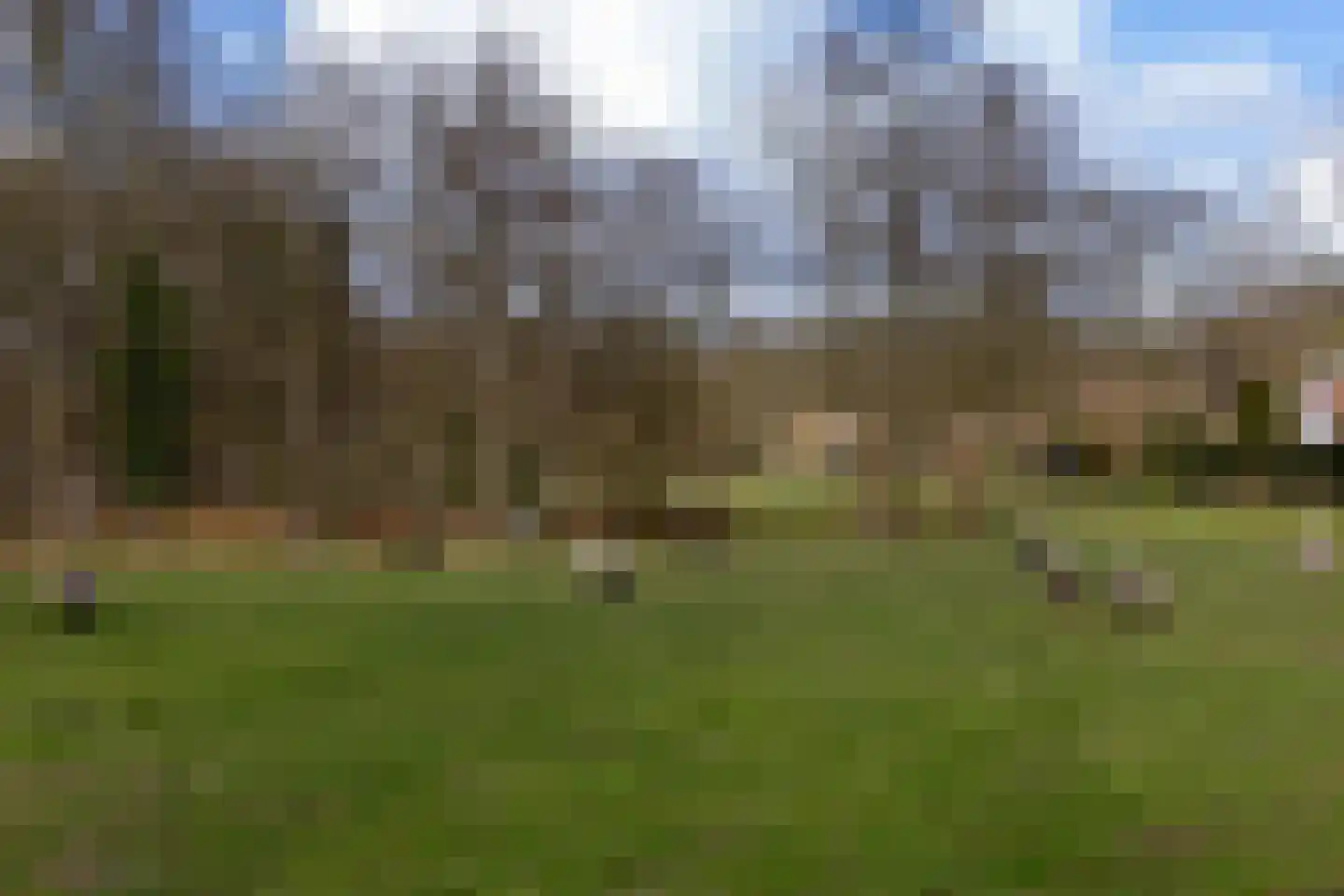 van Oosthuyselaan 69 Driebergen-Rijsenburg thumbnail 43