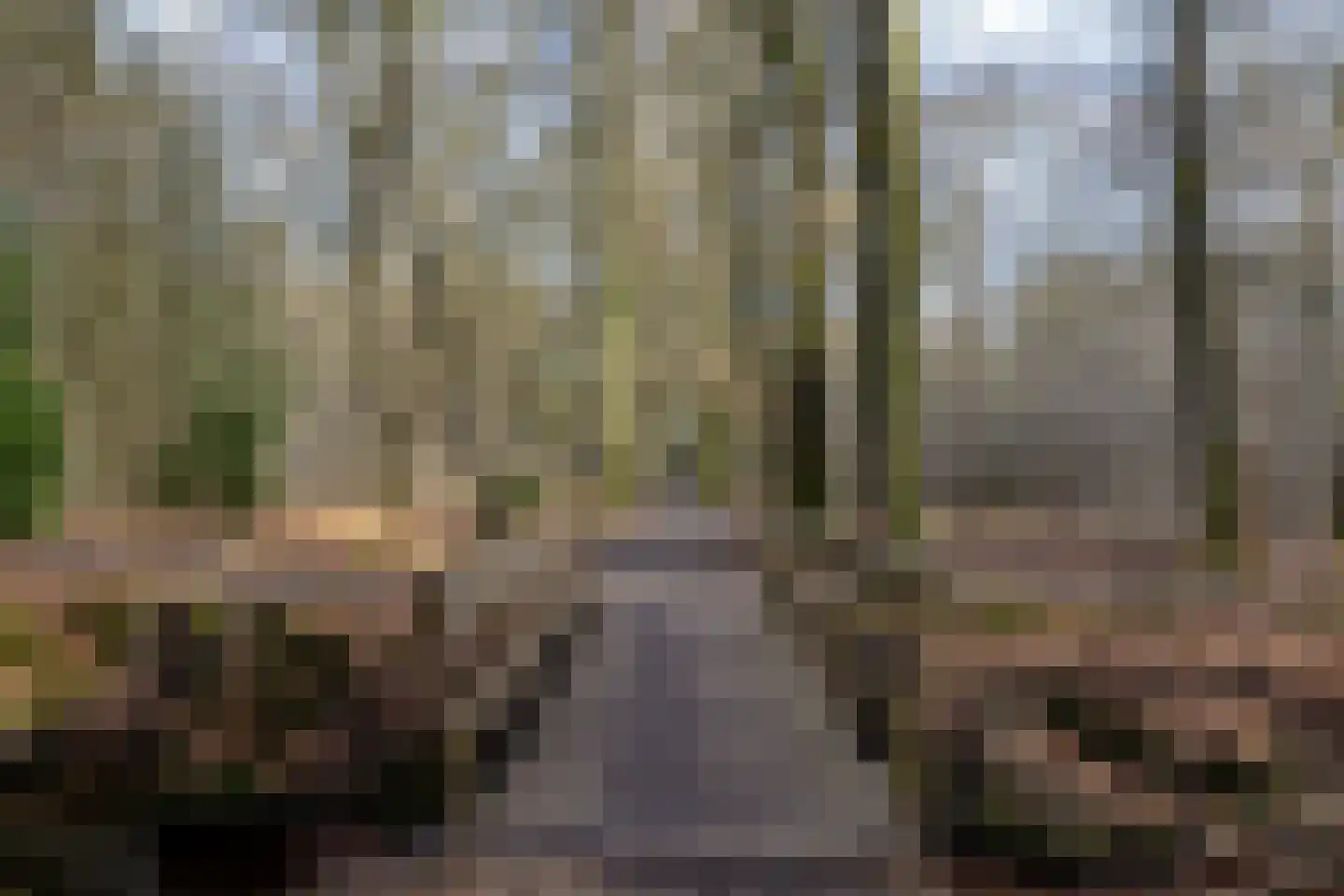 van Oosthuyselaan 69 Driebergen-Rijsenburg thumbnail 45