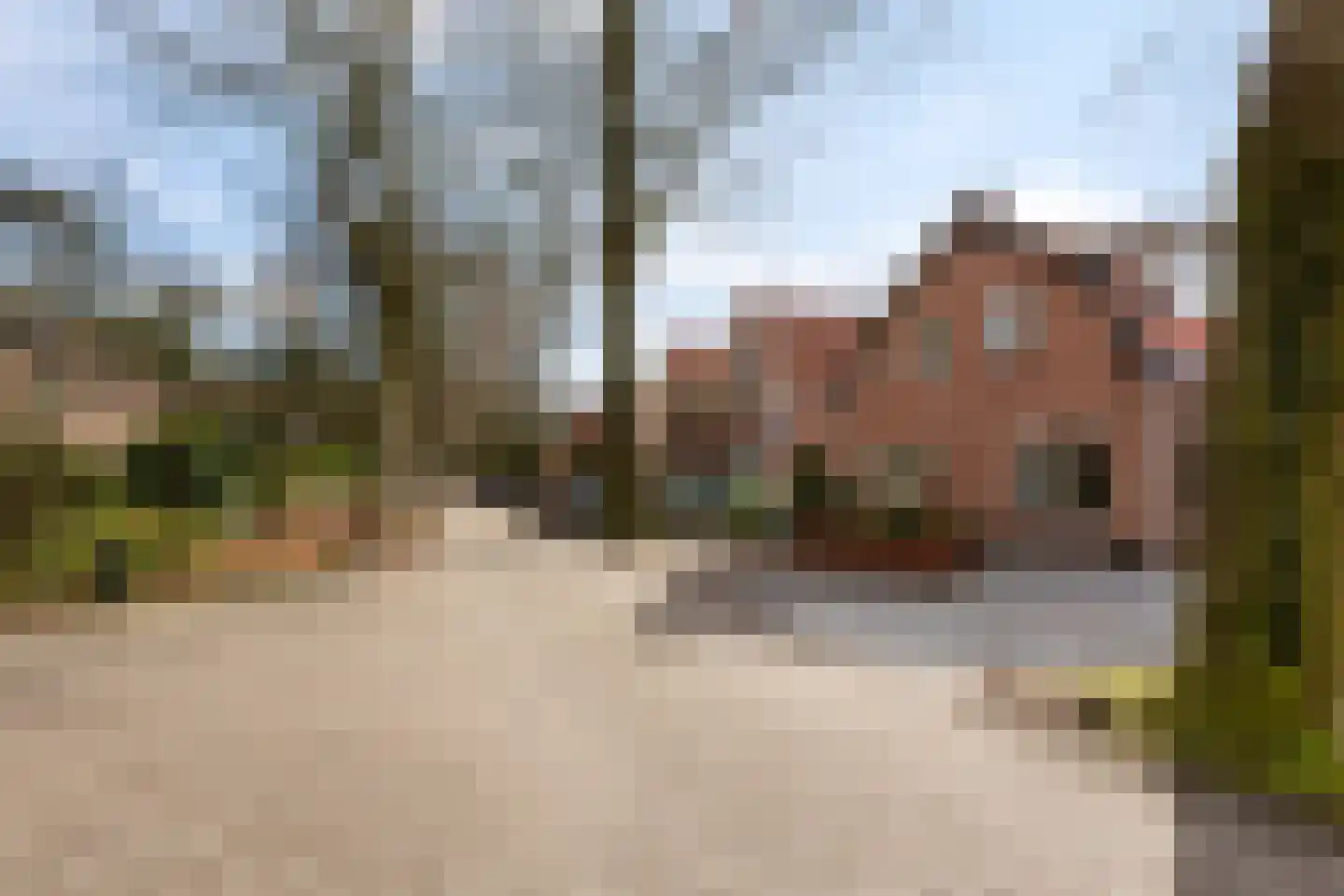 van Oosthuyselaan 69 Driebergen-Rijsenburg thumbnail 50