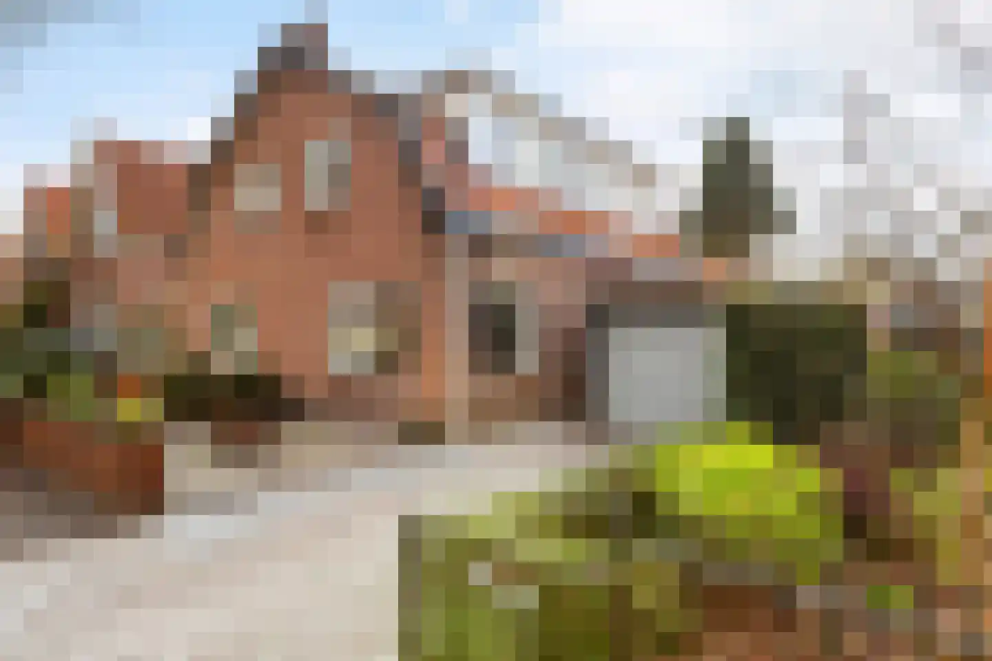van Oosthuyselaan 69 Driebergen-Rijsenburg thumbnail 53