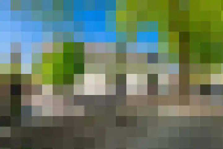 van Oosthuyselaan 79 a Driebergen-Rijsenburg thumbnail 35