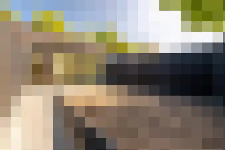 van Oosthuyselaan 79 b Driebergen-Rijsenburg thumbnail 22