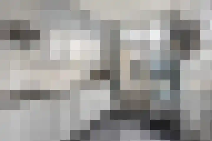 van Oostsanenstraat 13 Helmond thumbnail 12