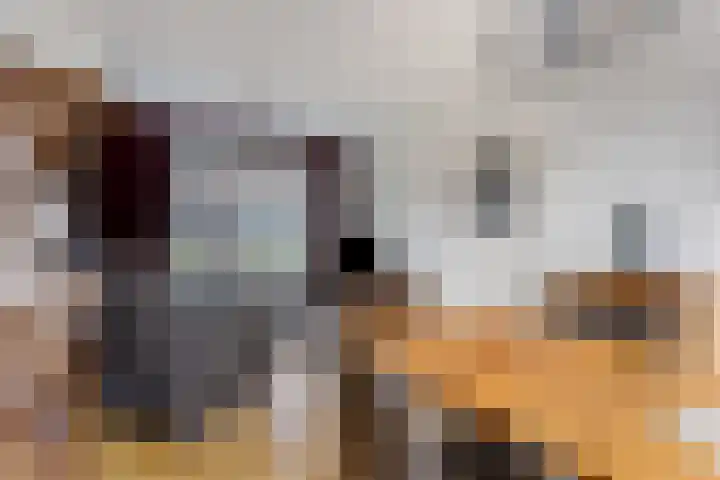 van Oostsanenstraat 13 Helmond thumbnail 16