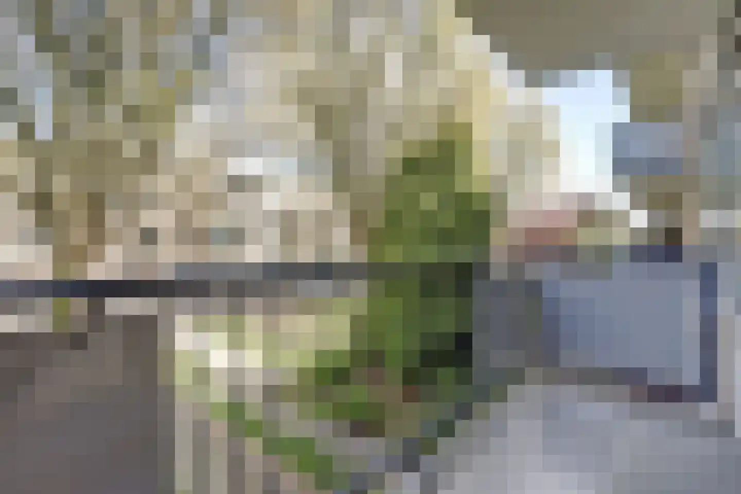 Van Opbergenstraat 10 Rotterdam thumbnail 22
