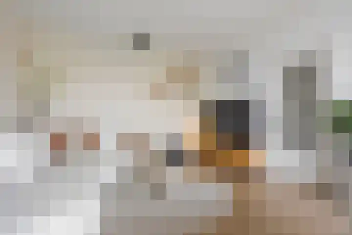 Van Opbergenstraat 20 Rotterdam thumbnail 13