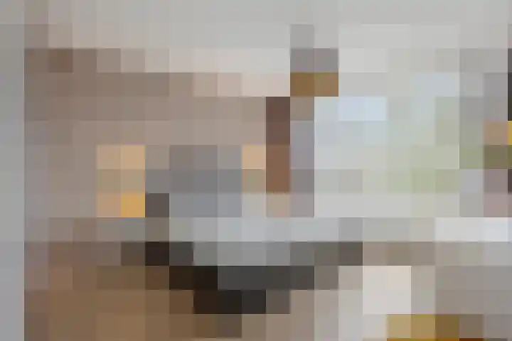 Van Opbergenstraat 20 Rotterdam thumbnail 20