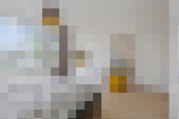 Van Opbergenstraat 20 Rotterdam thumbnail 21