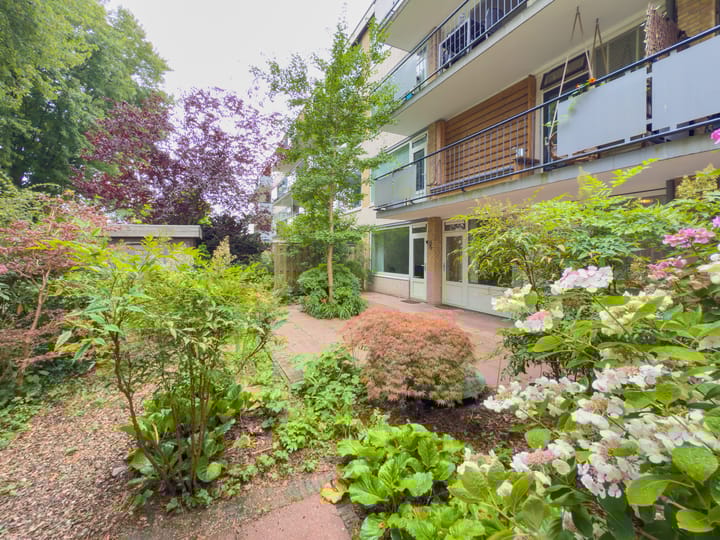 Van Opbergenstraat 22 in Rotterdam photo