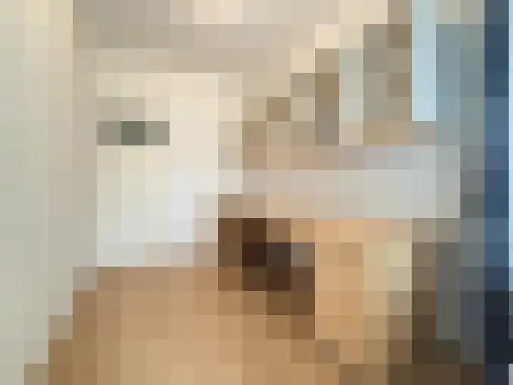 Van Opbergenstraat 22 Rotterdam thumbnail 18