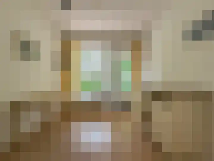Van Opbergenstraat 22 Rotterdam thumbnail 20