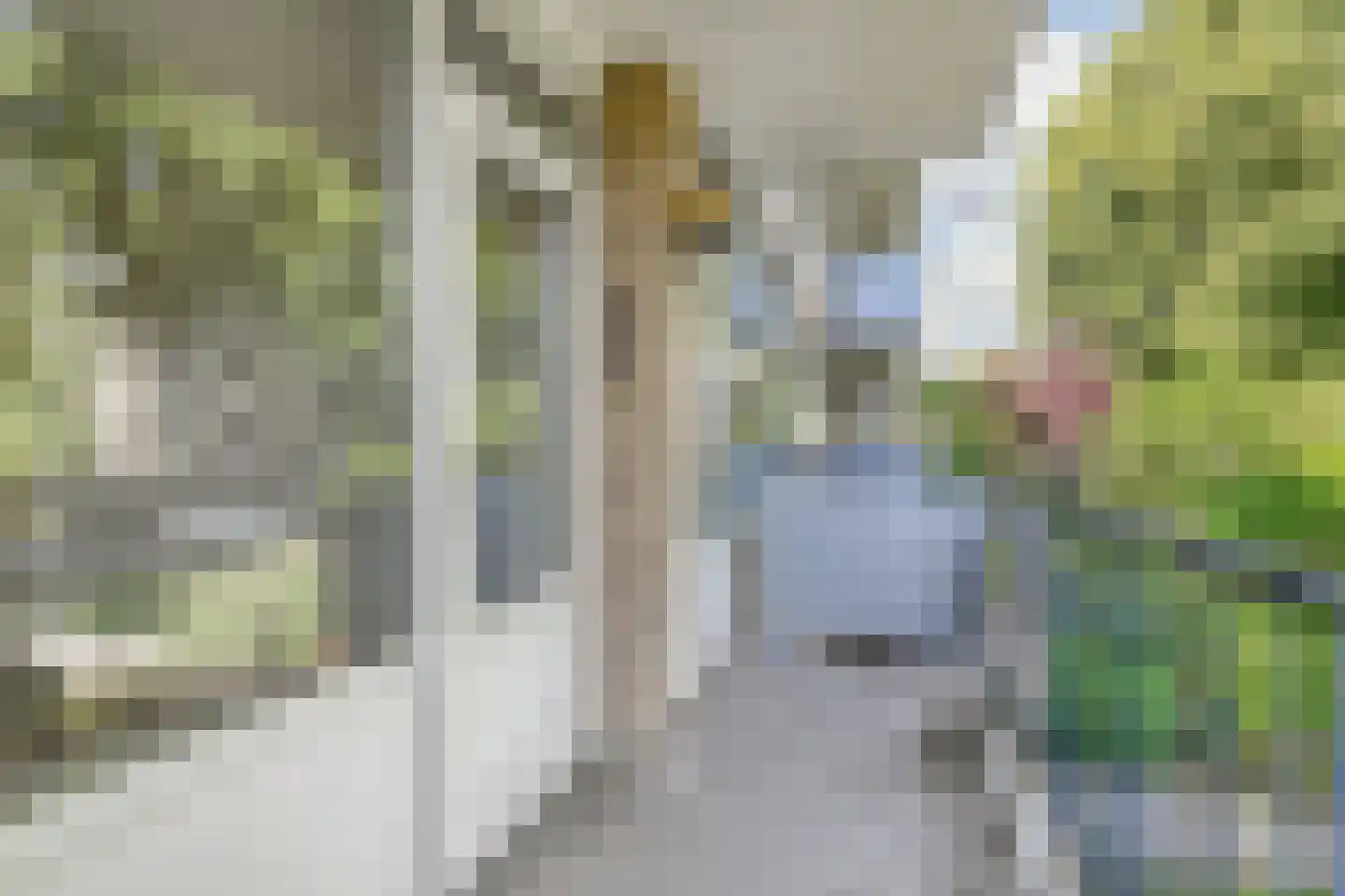 Van Opbergenstraat 44 Rotterdam thumbnail 20