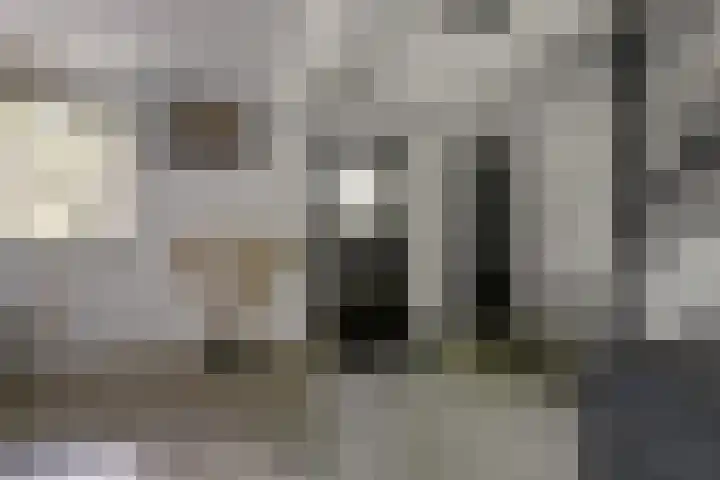van Ophovenlaan 61 Wilbertoord thumbnail 11
