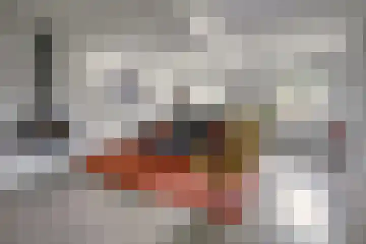 van Ophovenlaan 61 Wilbertoord thumbnail 12