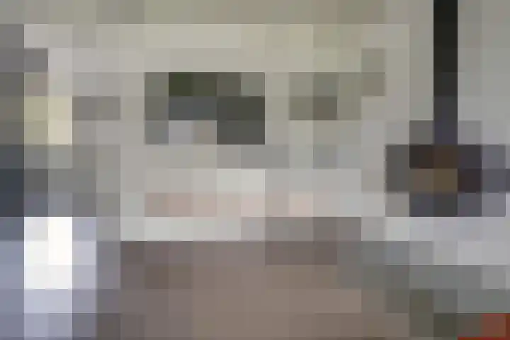 van Ophovenlaan 61 Wilbertoord thumbnail 13
