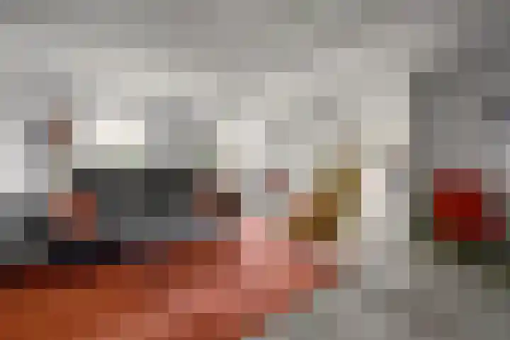 van Ophovenlaan 61 Wilbertoord thumbnail 14
