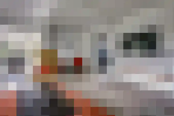 van Ophovenlaan 61 Wilbertoord thumbnail 15