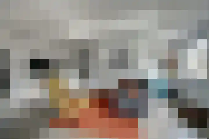 van Ophovenlaan 61 Wilbertoord thumbnail 18