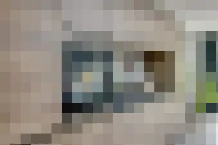 van Ophovenlaan 61 Wilbertoord thumbnail 21