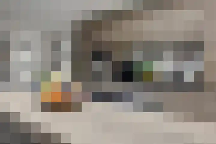 van Ophovenlaan 61 Wilbertoord thumbnail 25