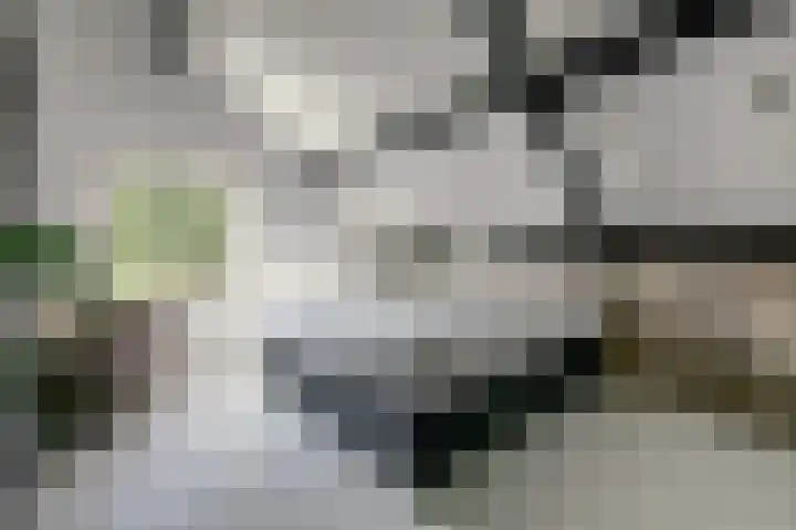 van Ophovenlaan 61 Wilbertoord thumbnail 35