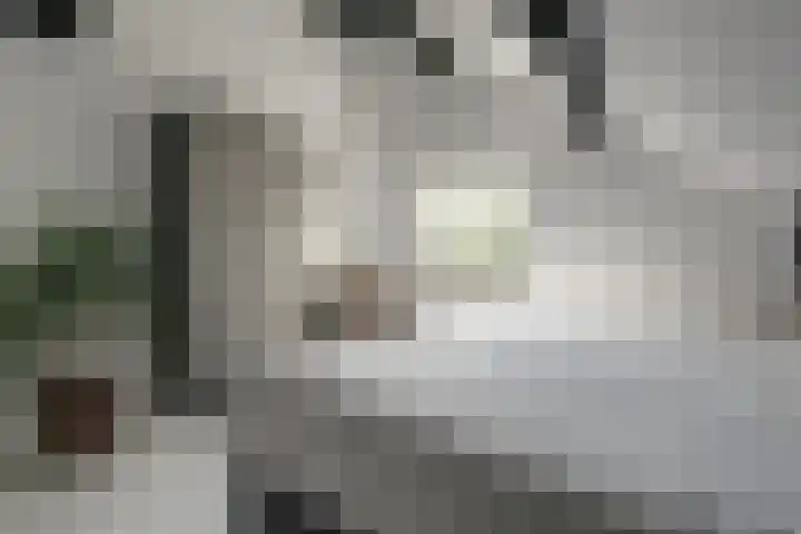 van Ophovenlaan 61 Wilbertoord thumbnail 36