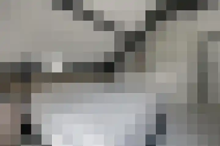 van Ophovenlaan 61 Wilbertoord thumbnail 37