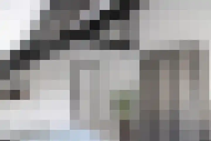 van Ophovenlaan 61 Wilbertoord thumbnail 38