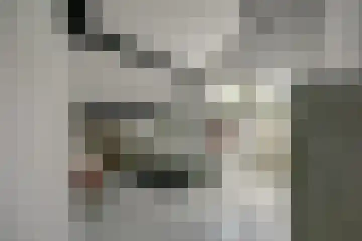 van Ophovenlaan 61 Wilbertoord thumbnail 39
