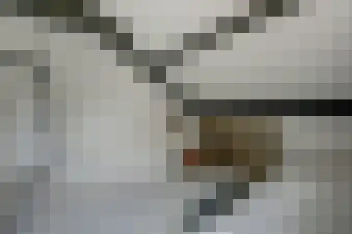 van Ophovenlaan 61 Wilbertoord thumbnail 40