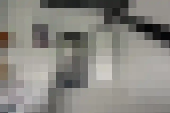 van Ophovenlaan 61 Wilbertoord thumbnail 44