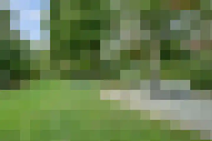 van Ophovenlaan 61 Wilbertoord thumbnail 55