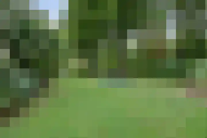 van Ophovenlaan 61 Wilbertoord thumbnail 56