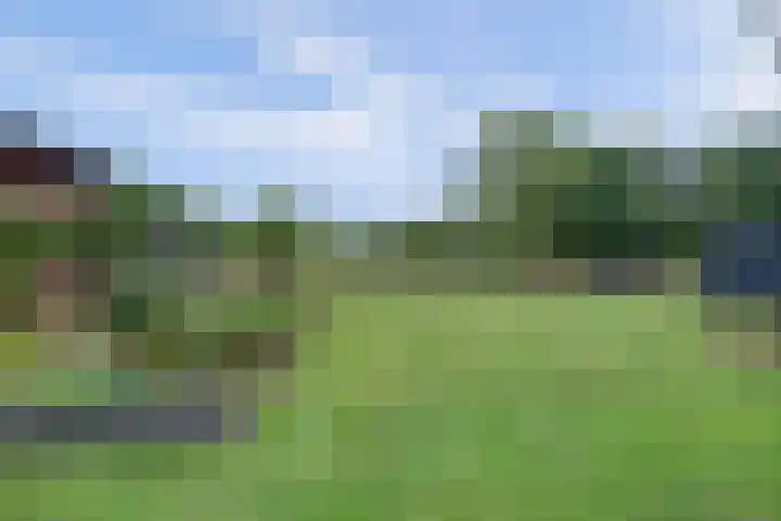 van Ophovenlaan 61 Wilbertoord thumbnail 58