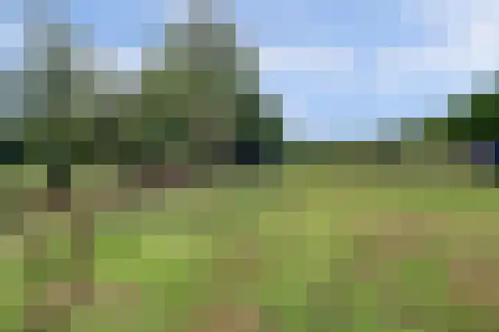 van Ophovenlaan 61 Wilbertoord thumbnail 59