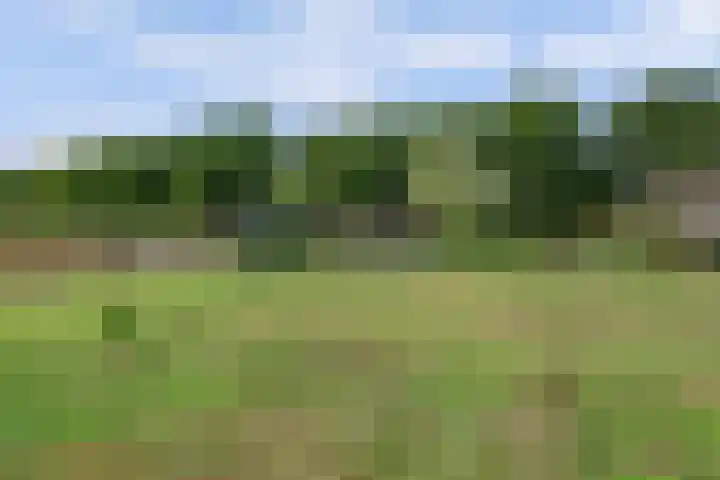van Ophovenlaan 61 Wilbertoord thumbnail 60